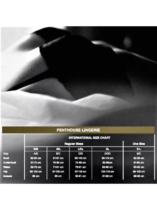 PENTHOUSE - ALL THE WAY Body Teddy Noix du S au XL