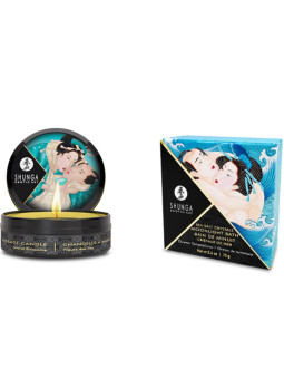 SHUNGA - Exclusive Calendar of Desires for the 25th Anniversary