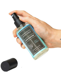 EYE OF LOVE - Bloom Ambient Spray Indica Blue Breeze 150 ml